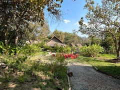 -大象粑粑造纸公园