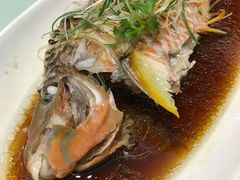 -骏莱海鲜鱼港(五角场店)