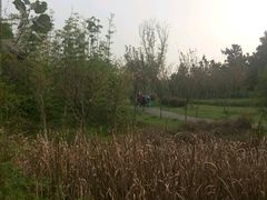 -白鹭湾湿地公园