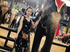 -东芭乐园