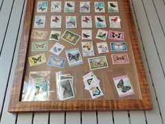 -蝶舍·MAISON PAPILLON