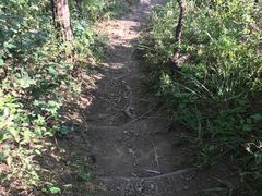 -高尔山公园