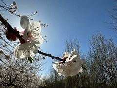 -永定河休闲森林公园