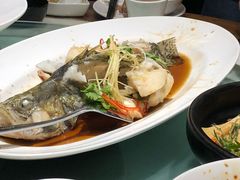 -北京老铺烤鸭(高新店)