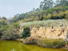 -南国桃园旅游度假区