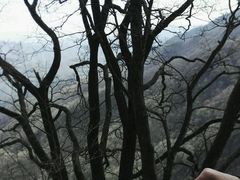 -牛背梁国家森林公园
