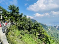 -老山东·山东菜(鲁菜名店)