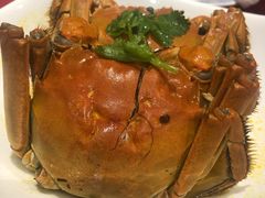 -老吉士酒家(天平路店)