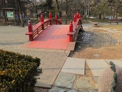 -元大都城垣遗址公园