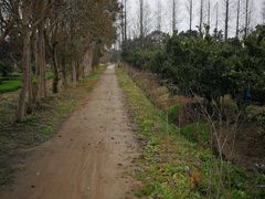 -上海长兴岛郊野公园