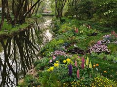 -上海共青森林公园