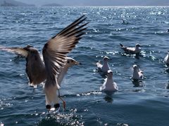 -丽江泸沽湖景区