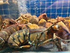 -健眺小海鲜(临海后山店)