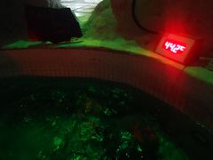 -泉城欧乐堡戏水湾艺术养生温泉