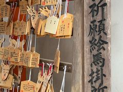 -奈良公园