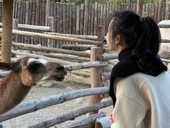 -泉州海丝野生动物世界