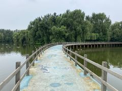 -沈阳鸟岛