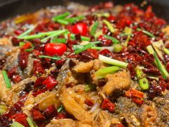 -老板恋上鱼(高新万达店)