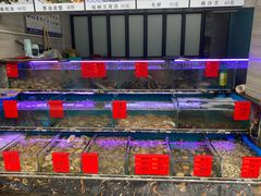 水产区-金海湾海鲜排档(朱家尖店)