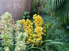 -北京植物园-展览温室