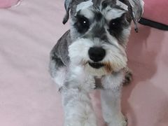 -安安宠医·安烨宠物医院·宠物保险(北仑分院)