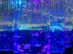 -哈尔滨波塞冬海底世界