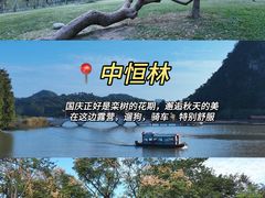 -鼎香皇高佬苏裹蒸粽