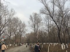 -长白岛森林公园