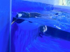 -长春中泰海洋世界