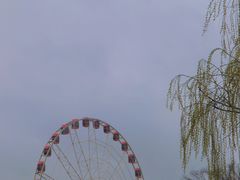 -顾村公园