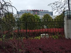 -舟山医院