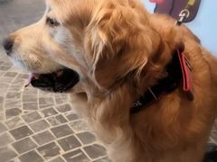 -一墨照相馆·证件照·形象照(世博店)