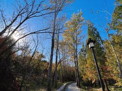 -白水寺森林公园