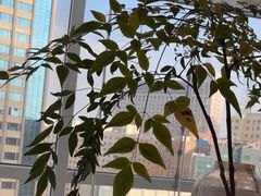 -海底捞火锅(振华广场生日主题店)