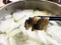 鱼皮-章记正宗南岗鱼蛋火锅