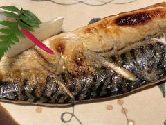 烤青花鱼-松子料理(亮马桥店)