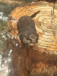 -Zoolung Zoolung动物主题公园(海信广场店)