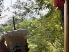 -藏龙百瀑风景区