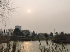 -瑶湖郊野森林公园