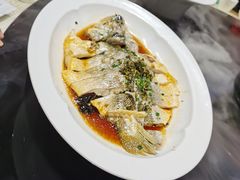鲈鱼-宛平九号
