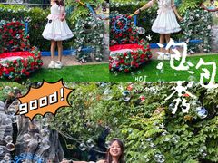 -郑州方特水上乐园