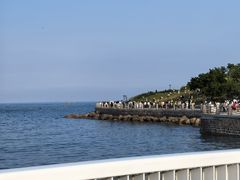 -小麦岛公园