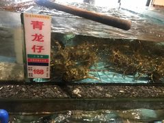 -花好悦园酒家(大石店)
