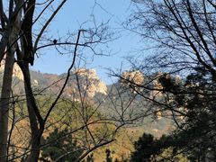 -崂山九水游览区