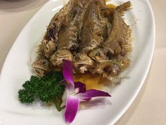 -新南华大酒店(长寿店)