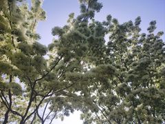 -泰丰公园