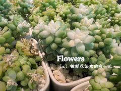 -必胜客(包头万达店)