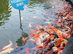 -南昌动物园