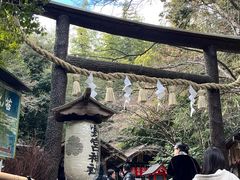 -野宫神社