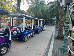 -三亚海昌梦幻海洋不夜城